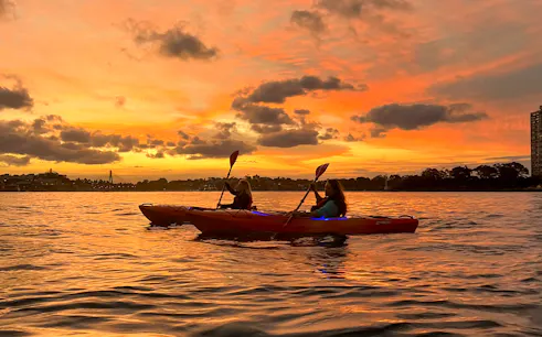 Kayakers paddling on Sydney Harbour at sunset.