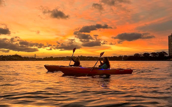 Kayakers paddling on Sydney Harbour at sunset.