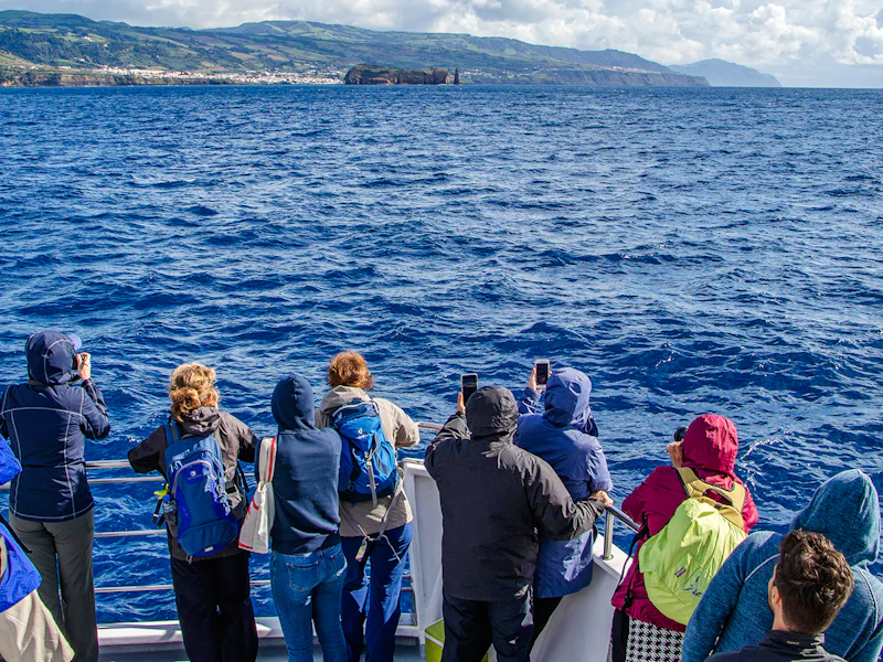 Guided Sao Miguel Whale Watching Tour - Ponta Delgada