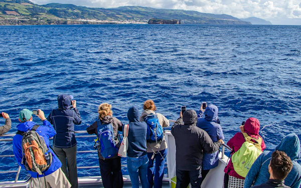 São Miguel: Whale Watching Catamaran Tour