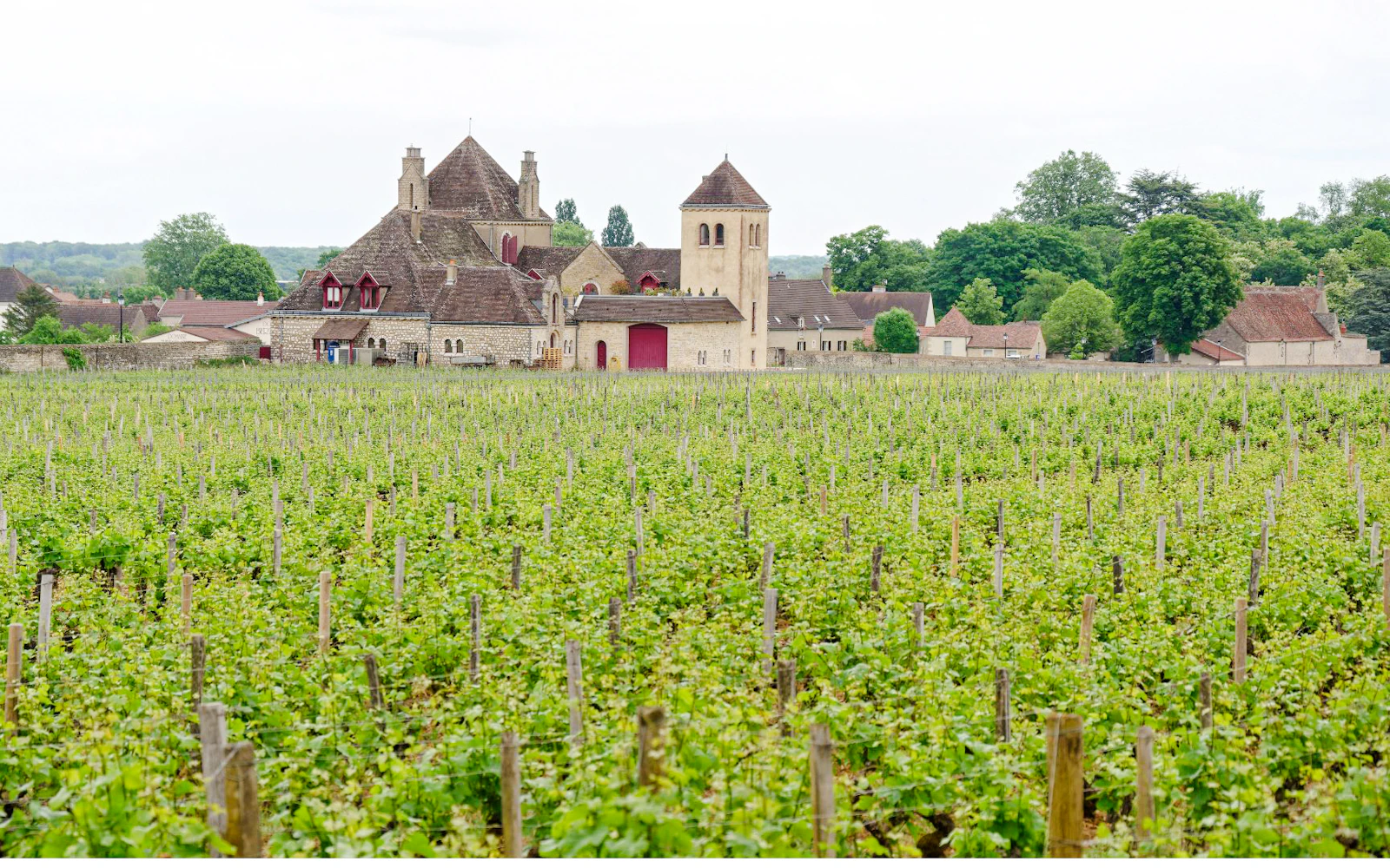 From Paris: Reims and Épernay Private Chauffeur-Driven Day Trip Image 2