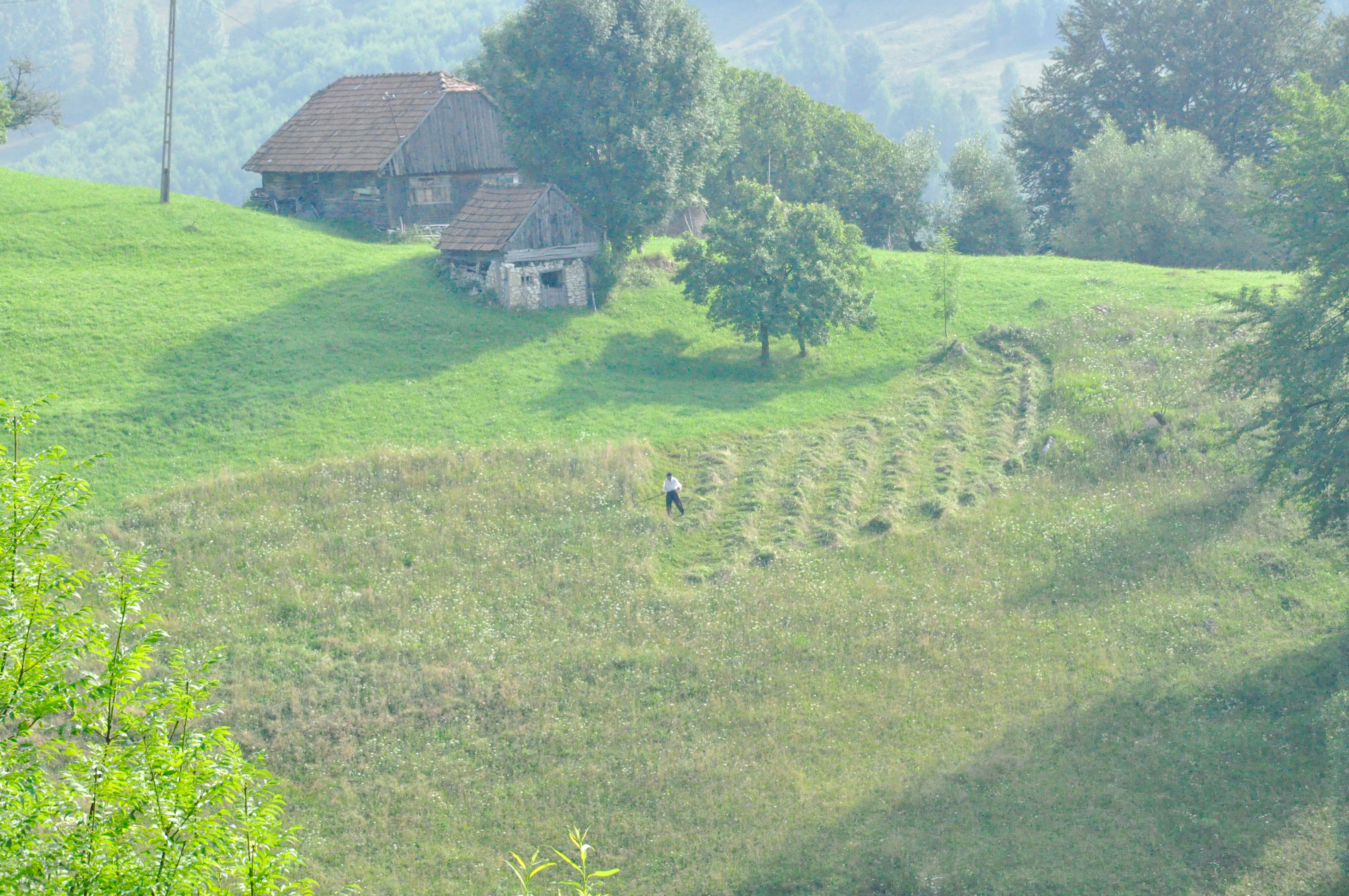 Trekker walking through grassy hills near rustic cabins in Piatra Craiului National Park, Brasov.