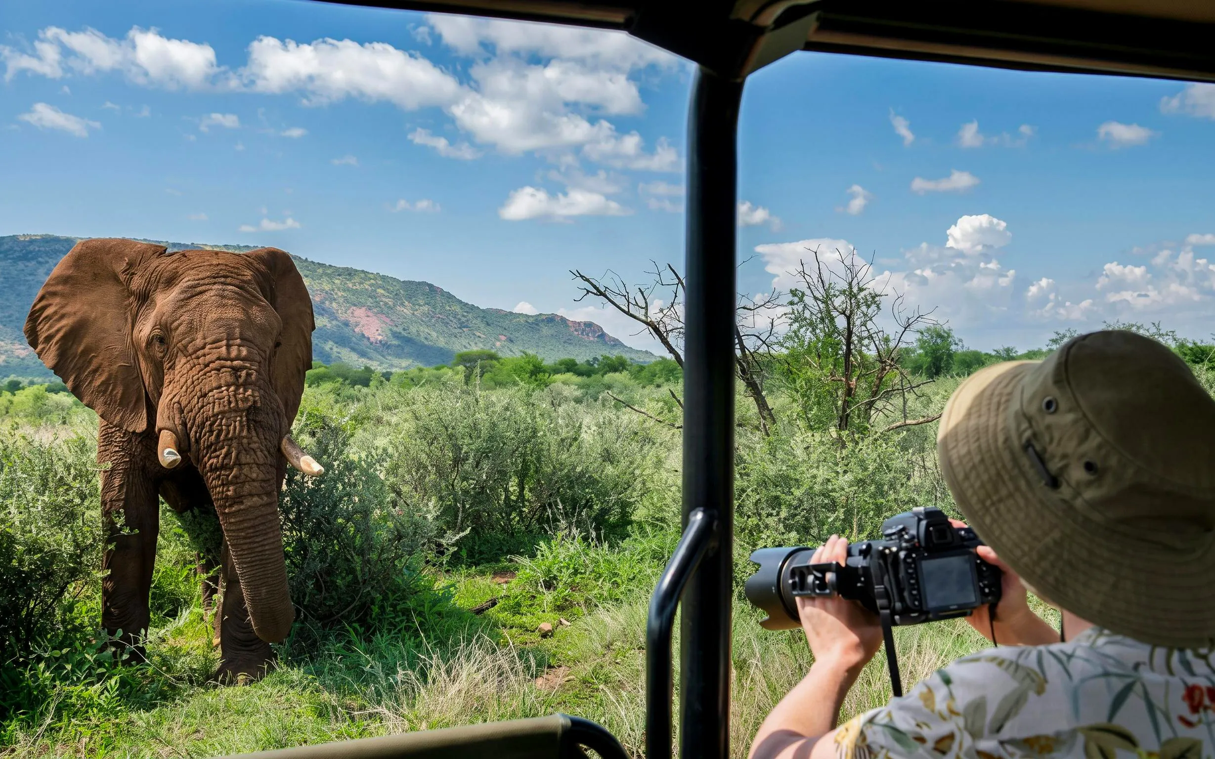Elephant near safari vehicle in Pilanesberg Nature Reserve, photographer capturing the scene.