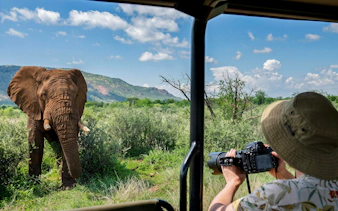 Elephant near safari vehicle in Pilanesberg Nature Reserve, photographer capturing the scene.