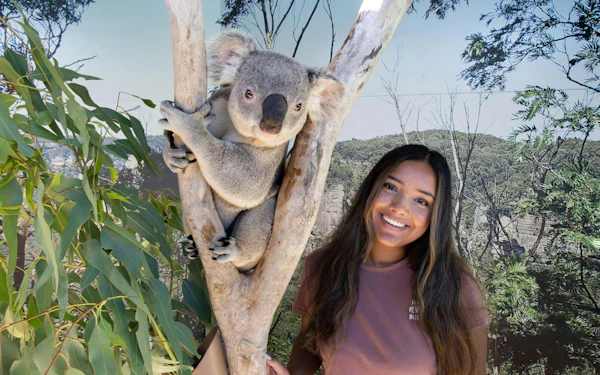 Sydney Zoo Tickets