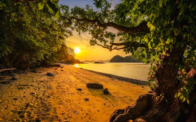 Sunset view of Hong Islands beach with trees and calm sea, Krabi.