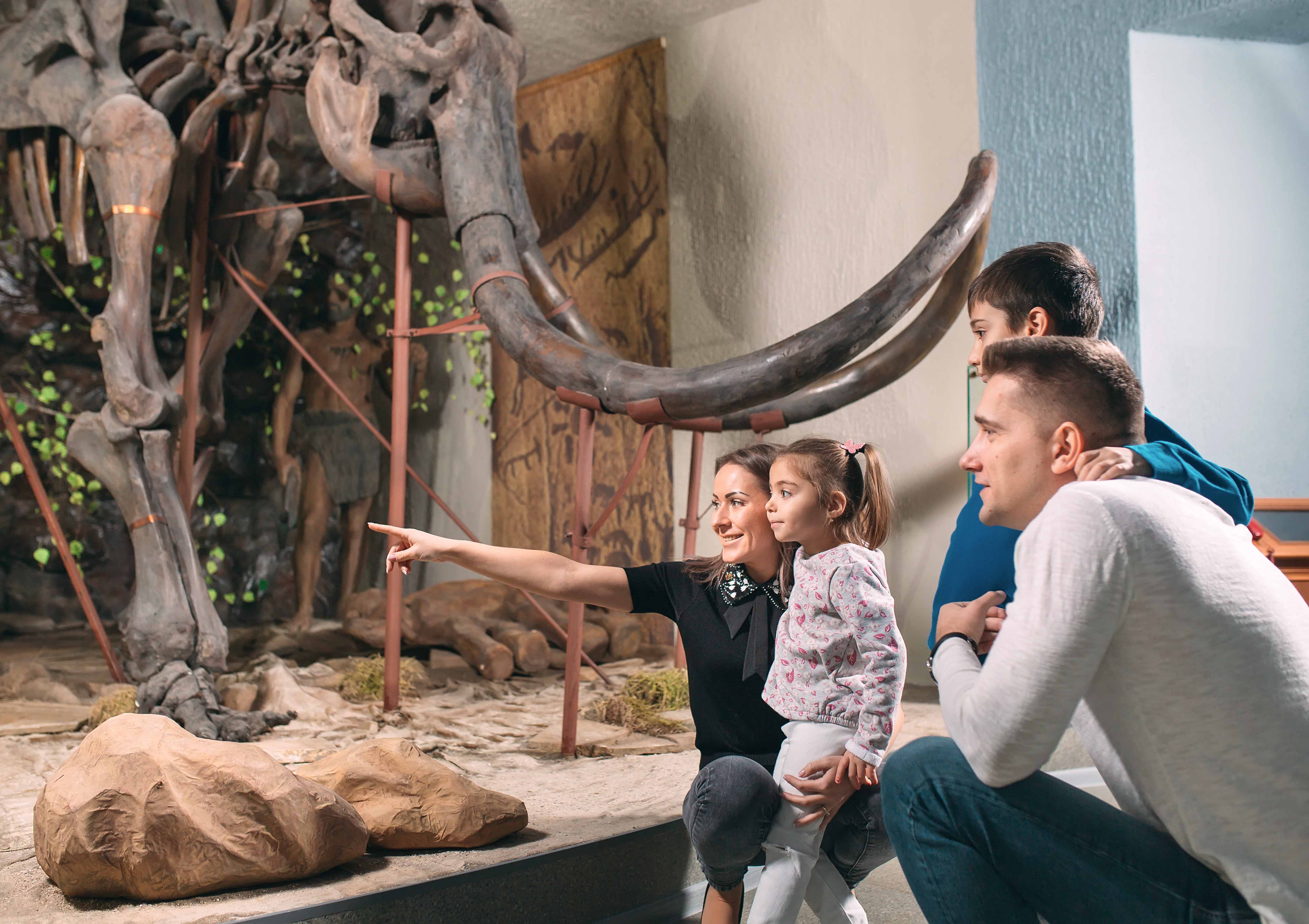 life-size models of elephant in a museum