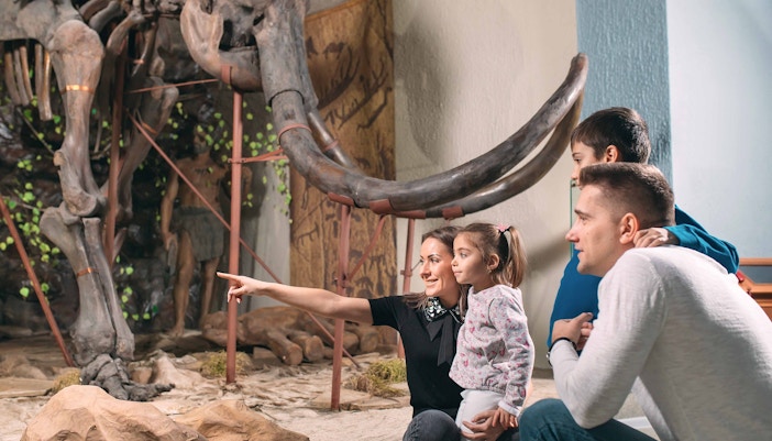life-size models of elephant in a museum