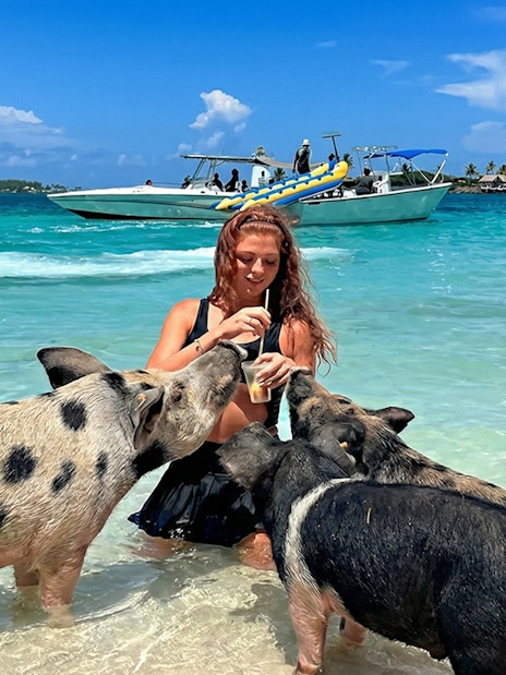 Swimming with pigs on Mansa Bay beach, private island day trip with boat in background.