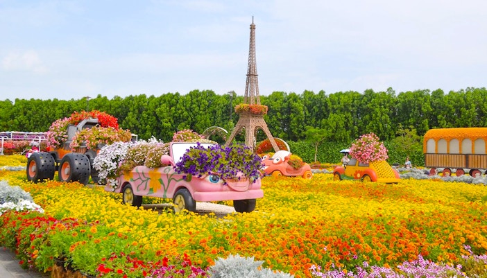 Floral car displays and Eiffel Tower replica at Miracle Gardens, Dubai.