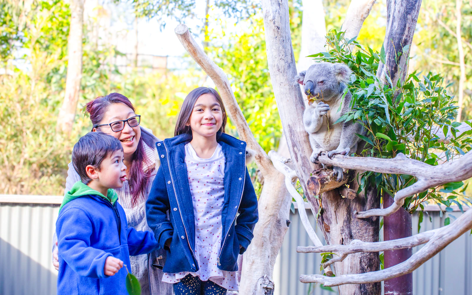 From Sydney: Blue Mountains Day Trip with Scenic World Pass, Sydney Zoo, Lincoln's Rock and River Ferry Image 2