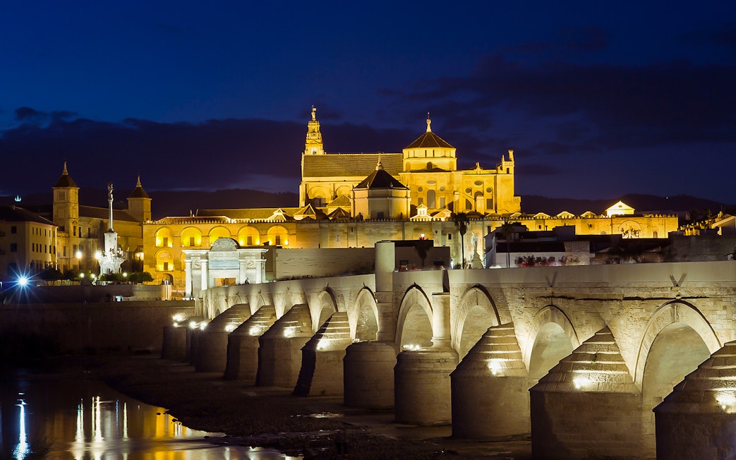 Cordoba Mosque-Cathedral illuminated at night with Roman Bridge in foreground.