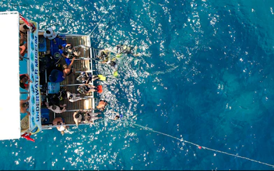 Scuba Diving at Side Underwater Museum with 2 Dives and Lunch
