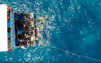 side sualtı müze’sinde 2 dalış ve öğle yemeği dahil scuba dalışı-2