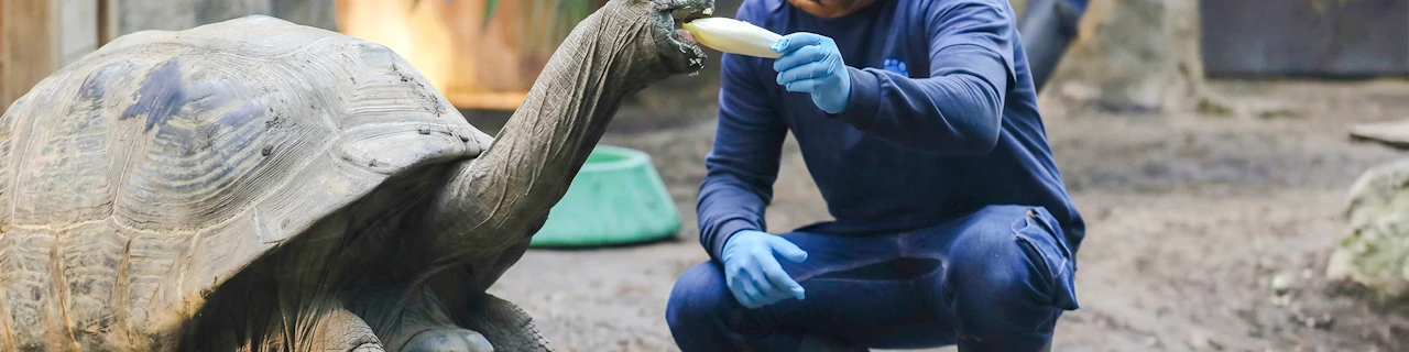 Biglietto d'ingresso di 2 giorni per lo ZooParc de Beauval