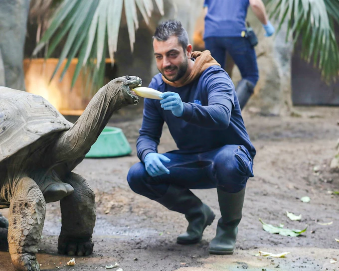 ZooParc de Beauval 2-Day Entry Ticket