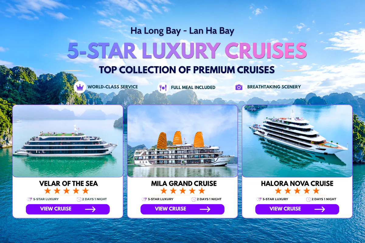 Lan Ha Bay 5-Star Premium 2D1N Cruise with Dark & Bright Cave Image 3