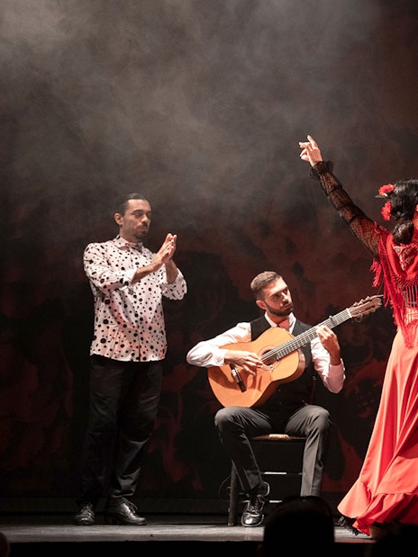 Flamenco dancer performing with musicians at Teatro Flamenco Barcelona.