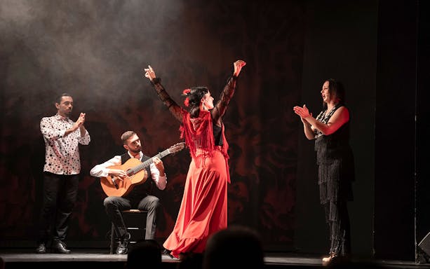 Flamenco dancer performing with musicians at Teatro Flamenco Barcelona.
