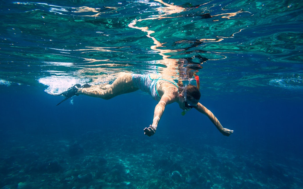 Snorkeler exploring underwater near Figarolo Island during dolphin watching tour.