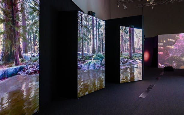 Screens display forest stream and rocky terrain in a dark exhibition hall.