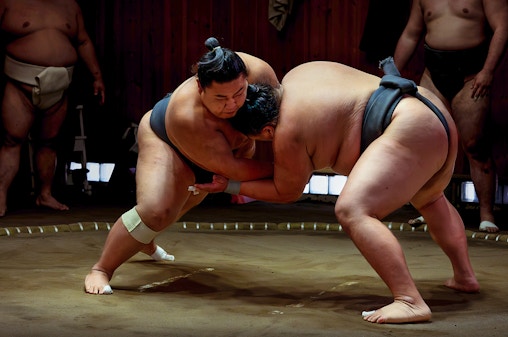 Tokyo Sumo Morning Practice Tour at Stable