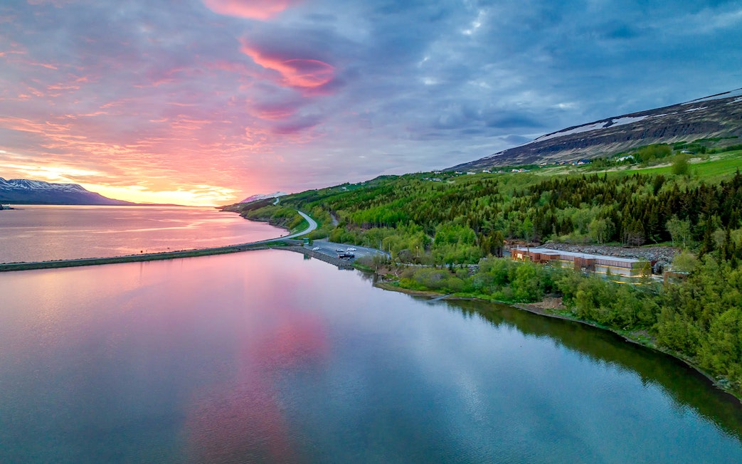Forest lagoon with lush green trees and pink skies near Akureyri waters.