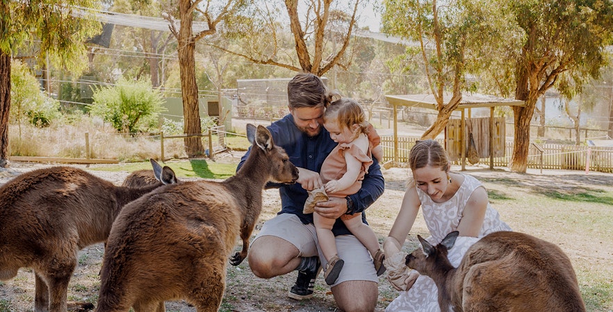 Ballarat Wildlife Park Tickets