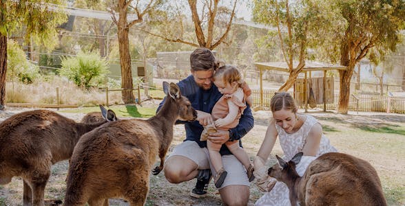 Billets pour le Ballarat Wildlife Park