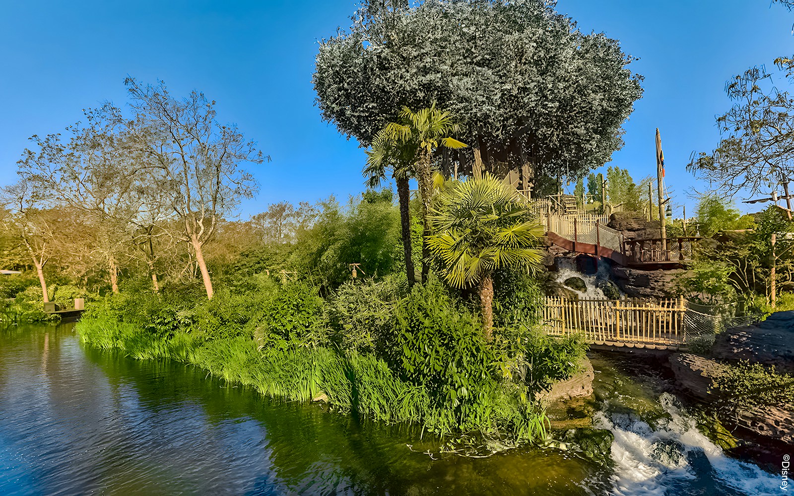 La Cabane des Robinson treehouse at Disneyland Paris with lush greenery and wooden walkways.