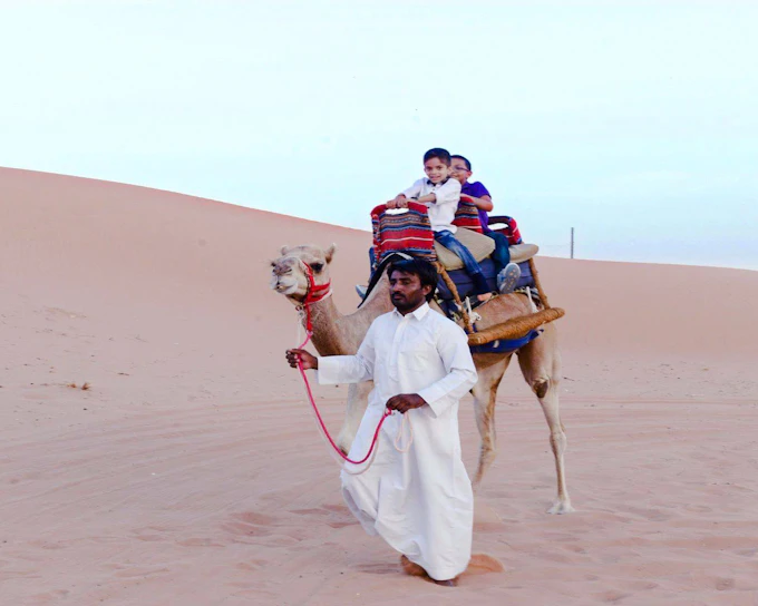 Camel Trekking at Ras Al Khaimah Bedouin Oasis Camp with transfers in RAK