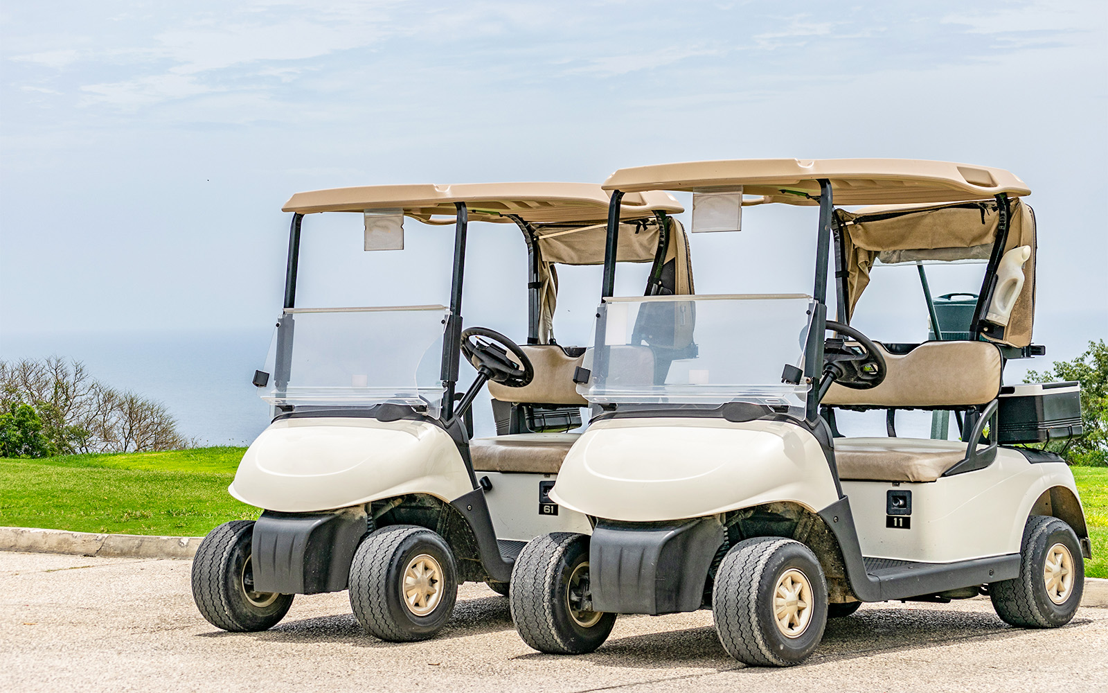 Golf carts parked on a scenic path overlooking the sea in Rome.