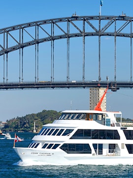 Cruise ship near Sydney Harbour Bridge on Captain Cook Cruises tour.