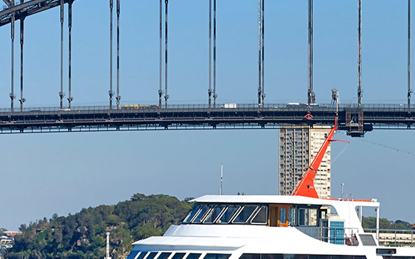 Cruise ship near Sydney Harbour Bridge on Captain Cook Cruises tour.