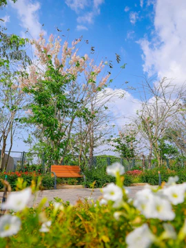 Bench surrounded by blooming flowers and trees in Flower Land garden.