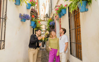 von sevilla aus: 3 städte an einem tag (córdoba, die „weißen dörfer“ und ronda)-7