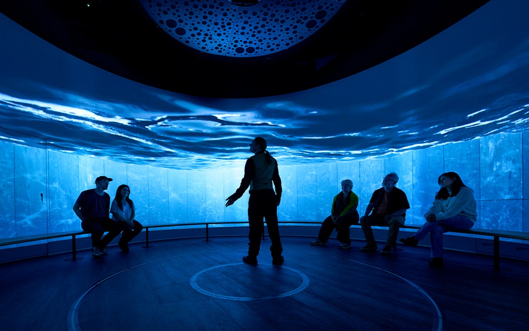 Interactive exhibit with people seated in a room with immersive ocean visuals, Scotland.