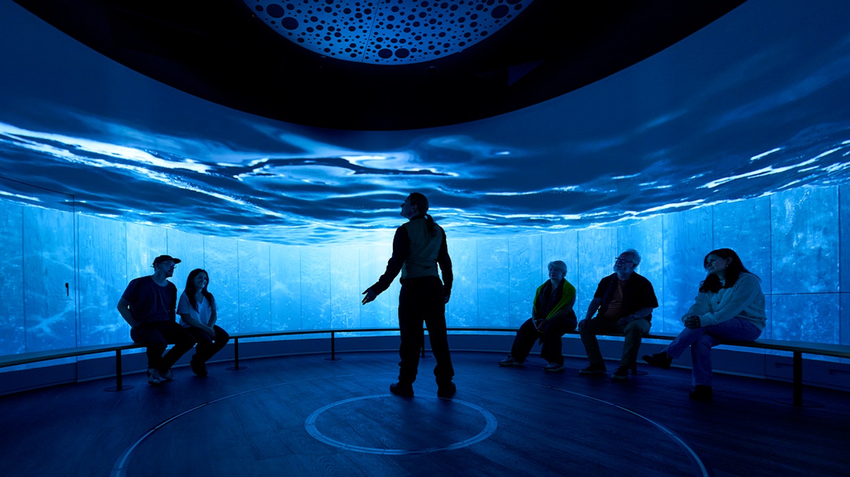 Scotch Whisky Experience sensory video journey in Edinburgh, Scotland.