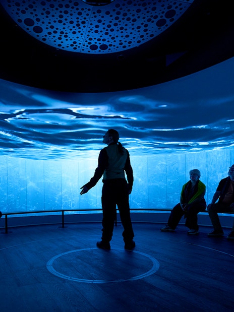 Interactive exhibit with people seated in a room with immersive ocean visuals, Scotland.
