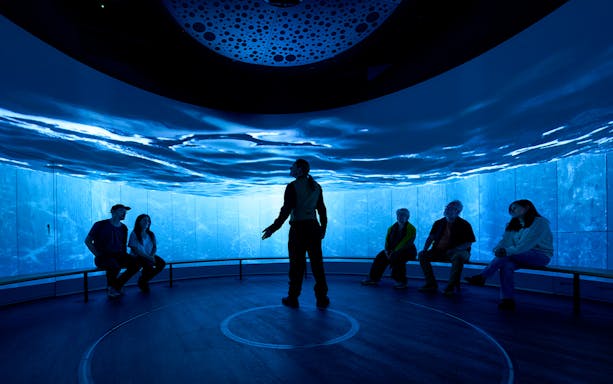 Interactive exhibit with people seated in a room with immersive ocean visuals, Scotland.