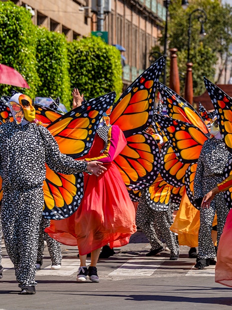 Participants in butterfly costumes at Day of the Dead parade, Mexico.