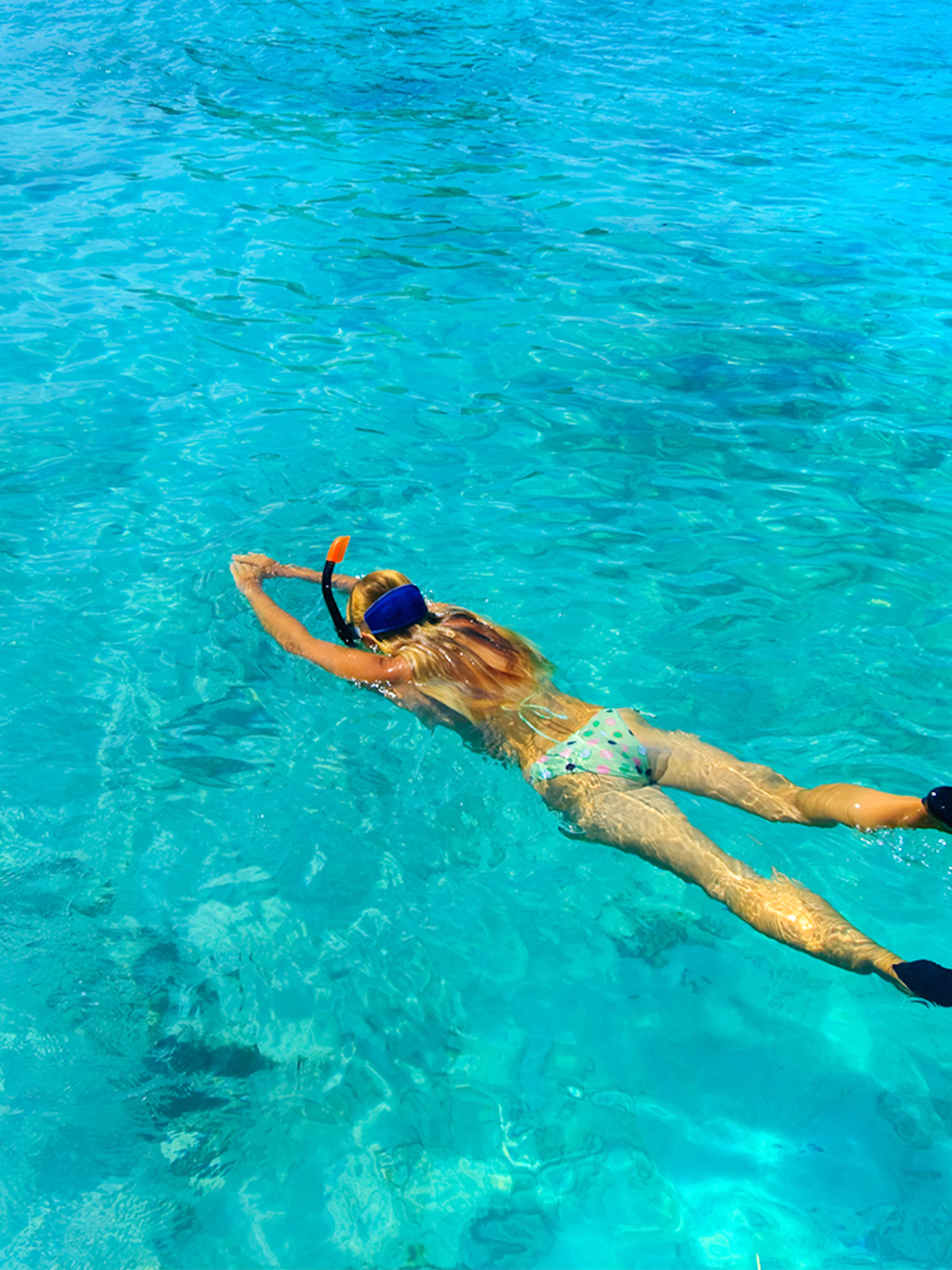 Snorkeler in clear waters of Rose Island, Green Cays, Nassau, Bahamas.