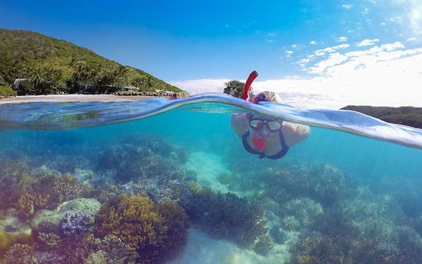 Snorkeler exploring coral reef near Mackay on Wildcat All Inclusive Day Tour.