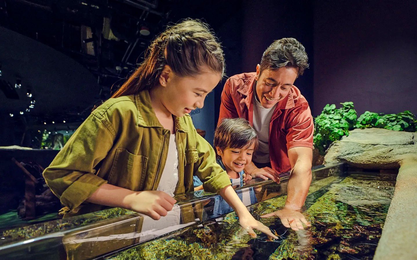 Family exploring touch pool at SG Oceanarium, Singapore.