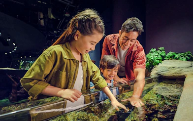 Family exploring touch pool at SG Oceanarium, Singapore.