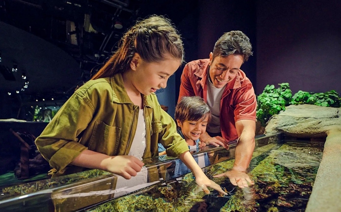 Family exploring touch pool at SG Oceanarium, Singapore.