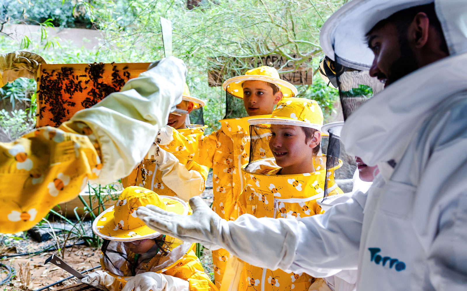 Beekeeping workshop with children in protective gear at Terra, Expo City Dubai.