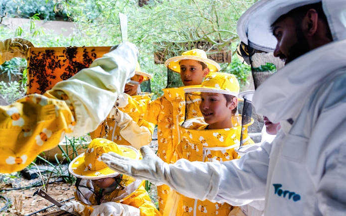 Beekeeping workshop with children in protective gear at Terra, Expo City Dubai.