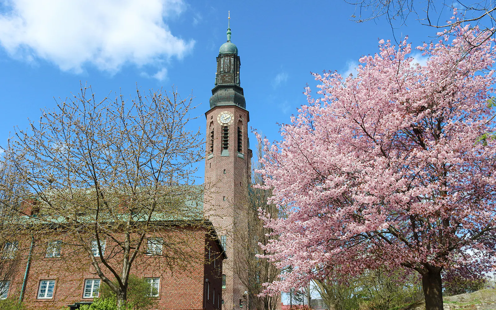 Hogalidsgatan