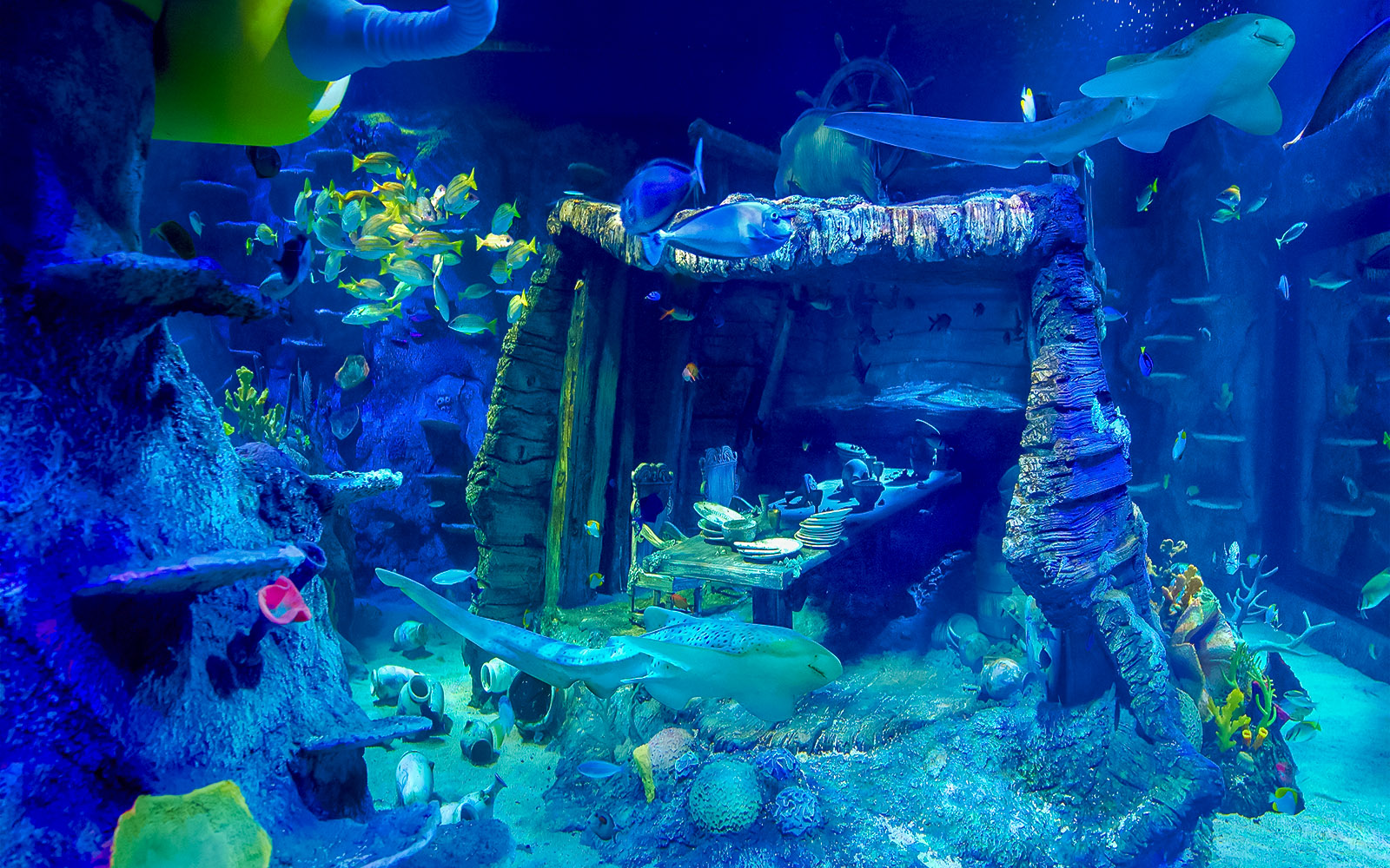 Underwater shipwreck dining scene at Sea Life Aquarium, Legoland Malaysia, with fish swimming around.